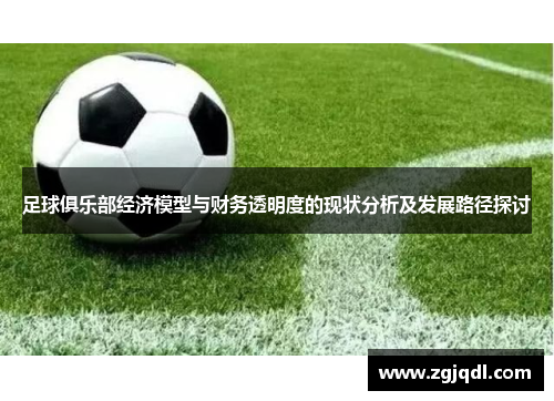 足球俱乐部经济模型与财务透明度的现状分析及发展路径探讨