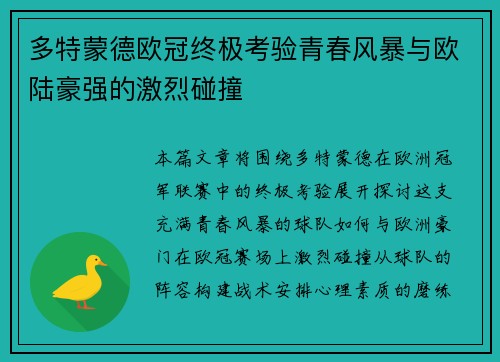 多特蒙德欧冠终极考验青春风暴与欧陆豪强的激烈碰撞