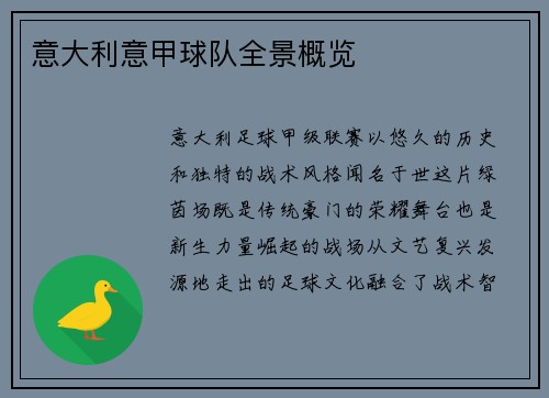 意大利意甲球队全景概览